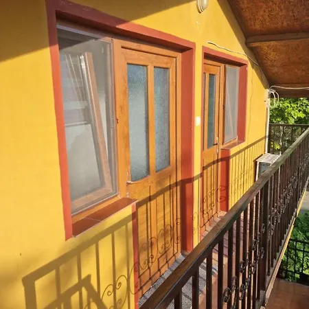 招待所 Ioana & Mirel 南埃福列