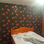 Ioana & Mirel Guest house Eforie Sud (Constanta)